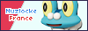 Discord Nuzlocke France